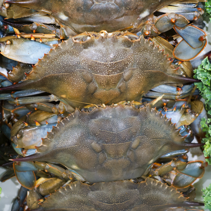 Soft Shell Crabs Whole Medium Size (Frozen) per 900g