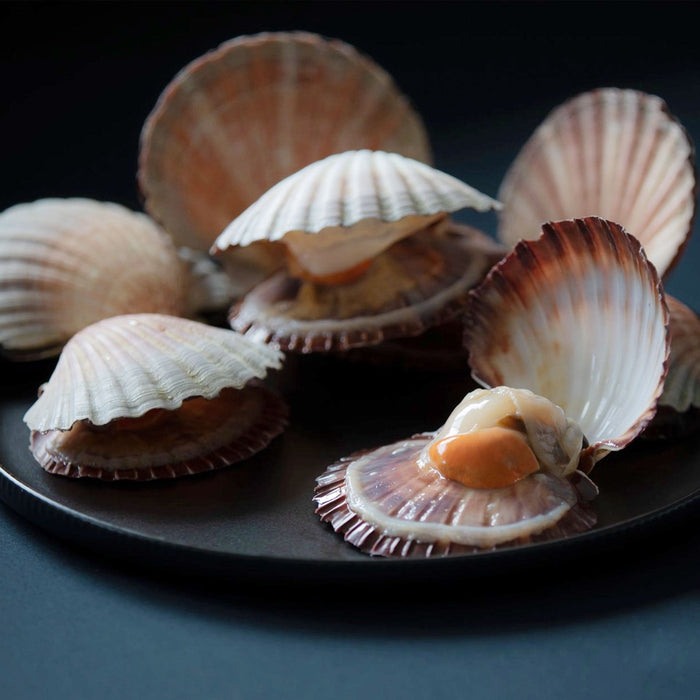 Tasmanian Commercial Scallops per dozen (Frozen)