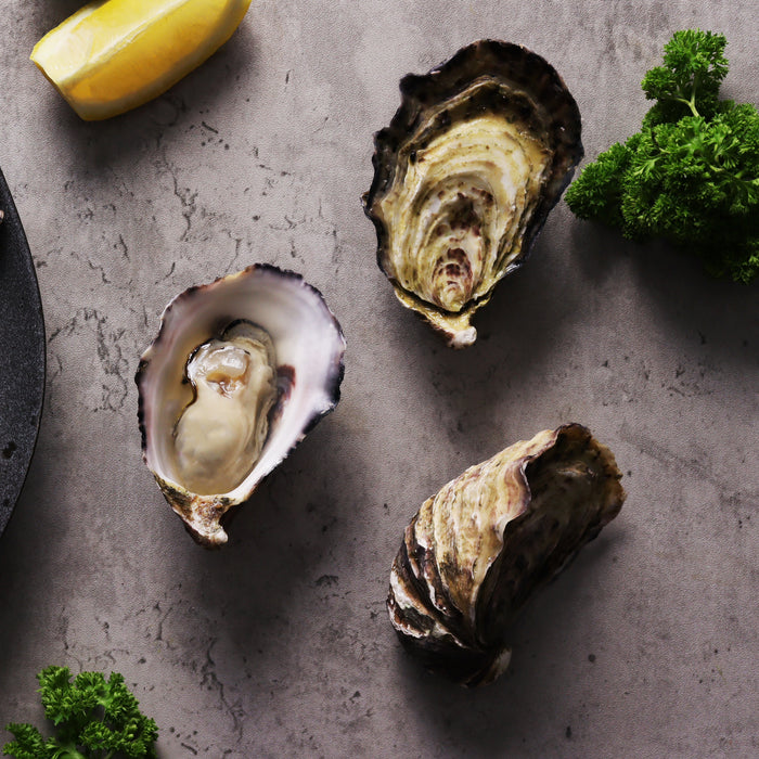 Live Coffin Bay Pacific Oysters Premium per dozen