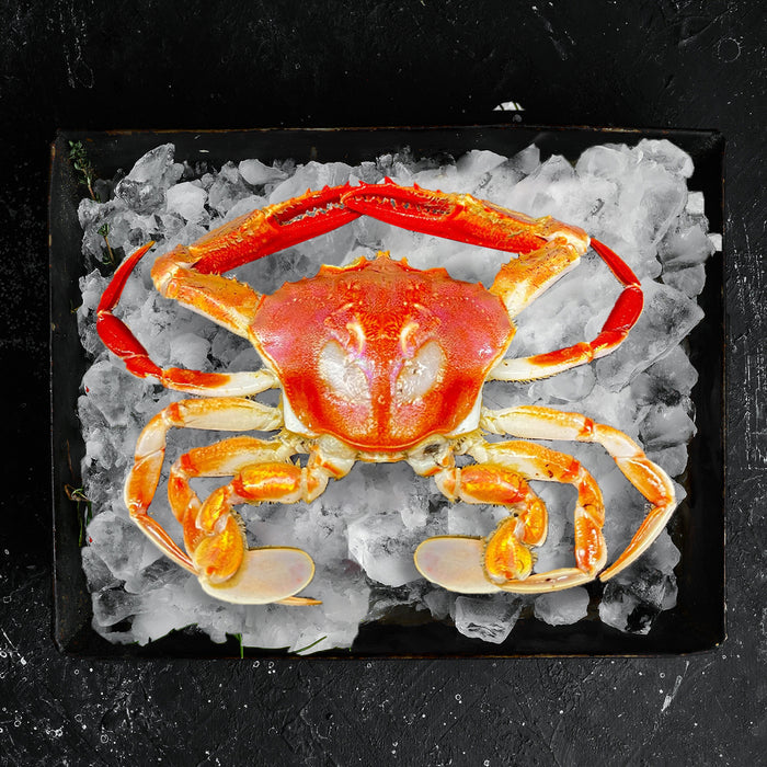 Fresh Whole Crystal Crab per kg