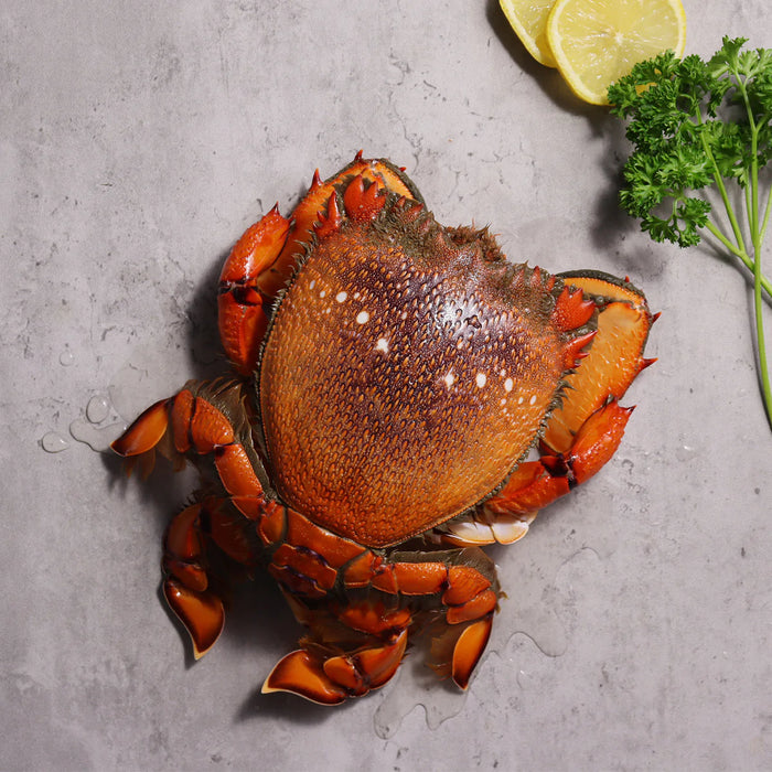Cooked Whole Australian Spanner Crab (Frozen)