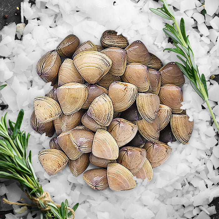 a pile of Cloudy Bay Diamond Shell Clam 