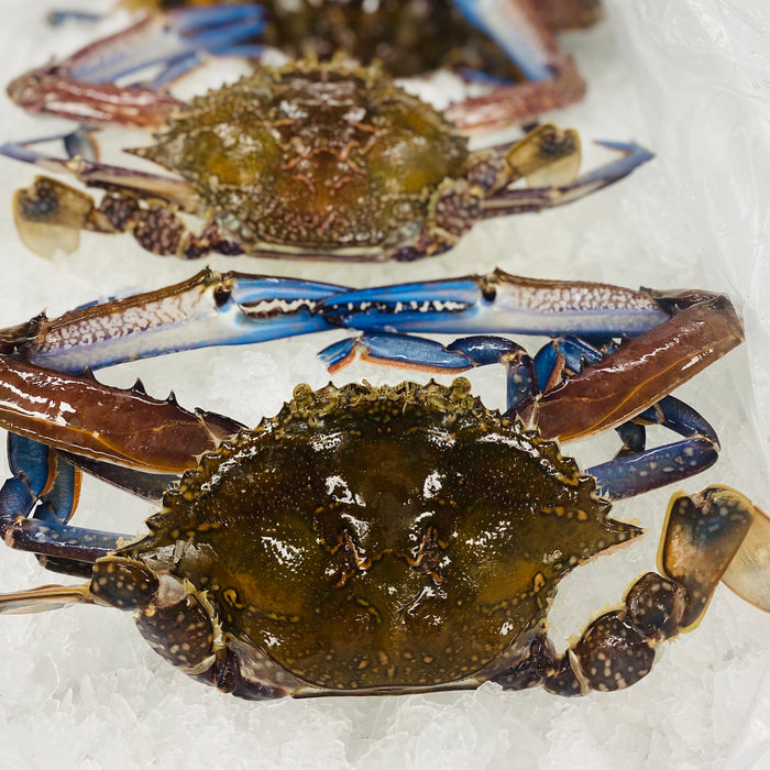 Northern NSW Blue Swimmer Crabs (Medium Size) Frozen per kg