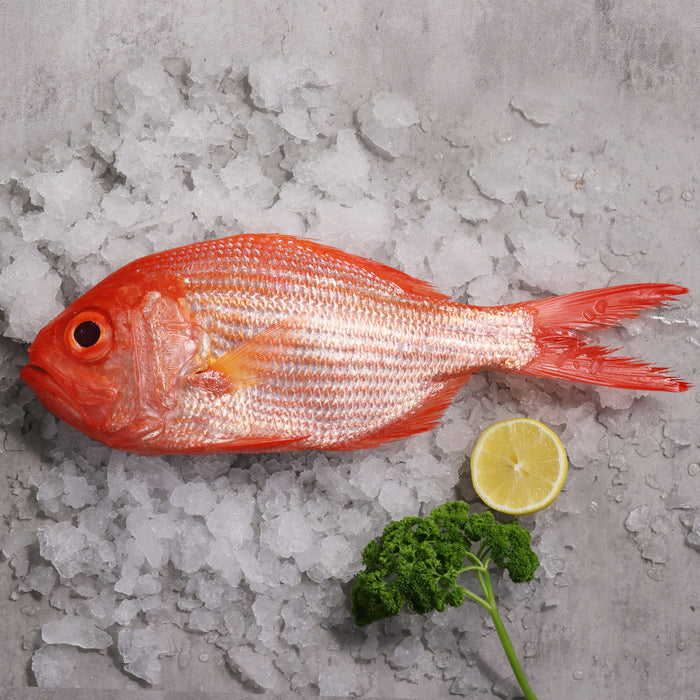 Fresh Red Snapper Whole Fish (Cleaned) 650g