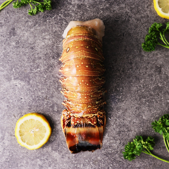 Large Tropical Lobster Tails 450g (Frozen)