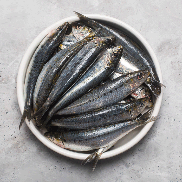 Large Australian Sardines per kg (Frozen)