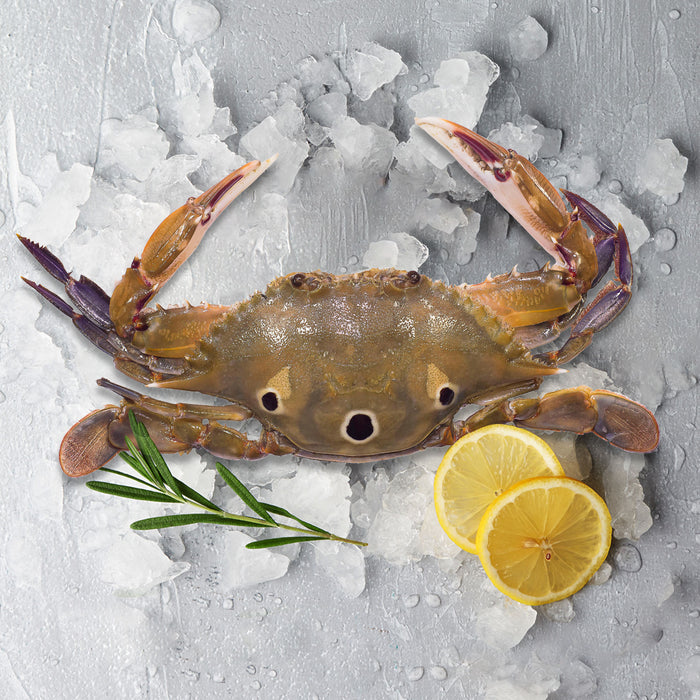 Three Spotted Crabs (Frozen) per kg